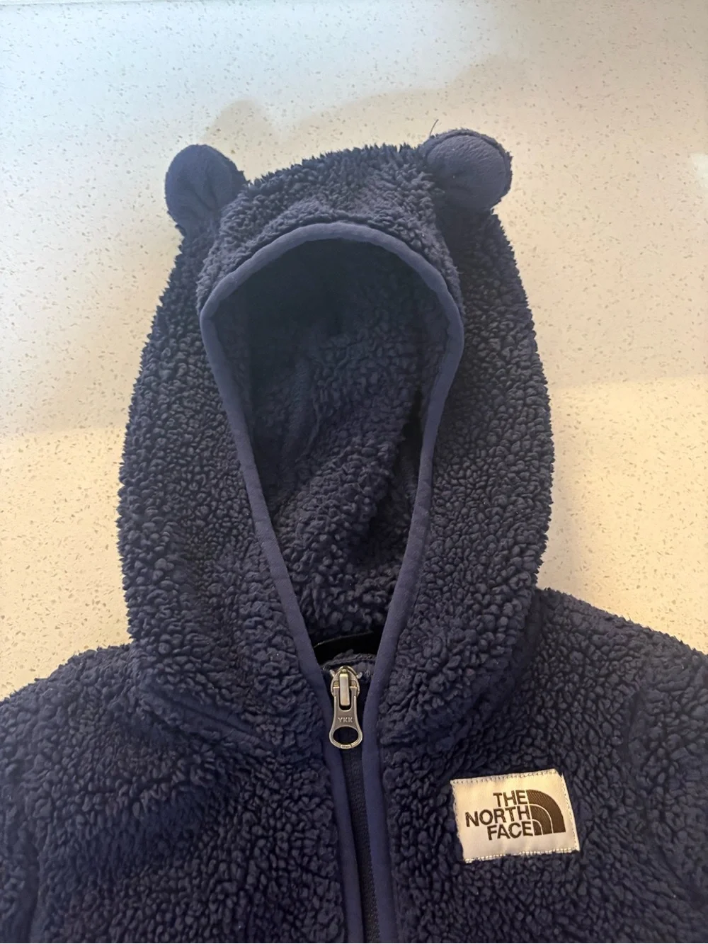 Northface bear hooded fleece jacket